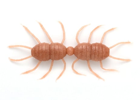 Imakatsu  風神スパイダートレーラー 　#釣日和サイトセレクション