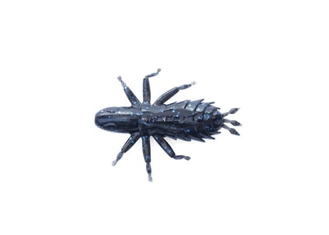 Berkley　Jago Rocket 3inch (ジャゴロケット ３インチ)　#各色