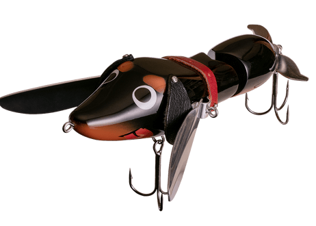 Fish Arrow  おさんぽシリーズ  WING DACHS-kun　#各色