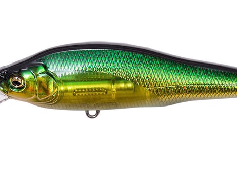 ☆Megabass　X-80(ハチマル) SW LBO　＃Sexyfish Selection