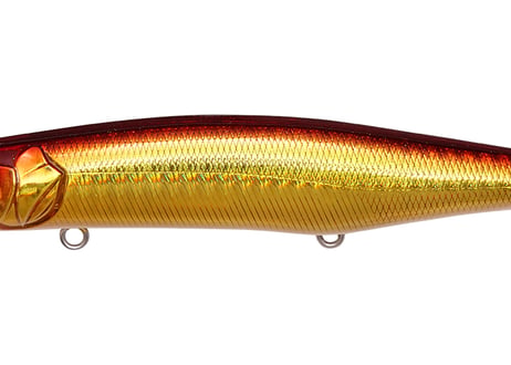 ■お1家族様お1つ限り■ MEGABASS　カゲロウMD 125F　#各色