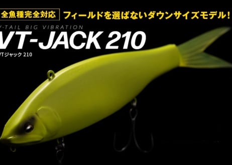 JOINED CLAW 178 & VT-JACK 210 ルアーセット CATEGORY Fish Arrow | Sexyfish The Store
