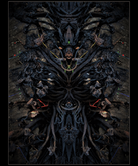 【Bug Screaming】IJEN KAI New Album "zoh-rei" Hoodie Black