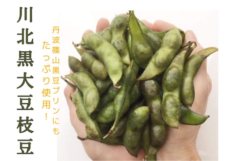 2026年産予約　【10月2６日(日)まで！】川北黒大豆 枝豆 (さや豆500g入り)