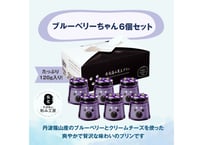 ブルーベリーちゃん6個セット