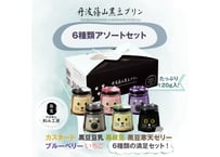 6種類アソートセット