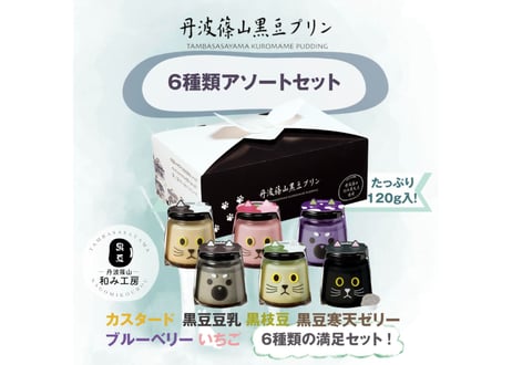 6種類アソートセット