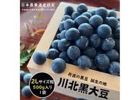 【2025年産】丹波篠山川北黒大豆（2Lサイズ粒　500g入）