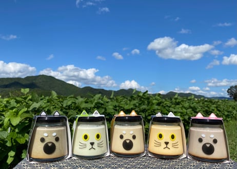 5種類アソートセット