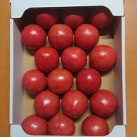 【順次発送】秋穂とまと（Lサイズ）４Kg×１箱