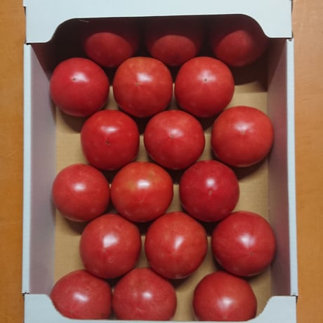 【順次発送】秋穂とまと（Lサイズ）４Kg×１箱