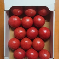 【順次発送】秋穂とまと（2Lサイズ）４Kg×１箱