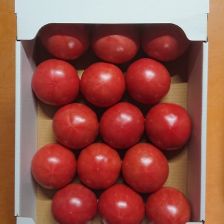【順次発送】秋穂とまと（2Lサイズ）４Kg×１箱