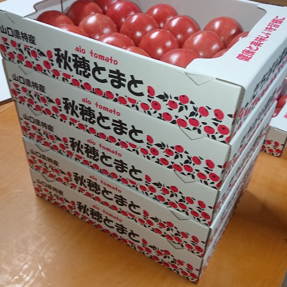 5e619337823e7c65bbbf389e