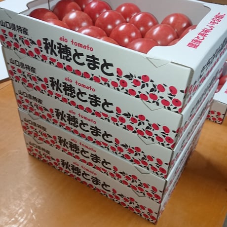 【順次発送】秋穂とまと（Mサイズ）４Kg×１箱
