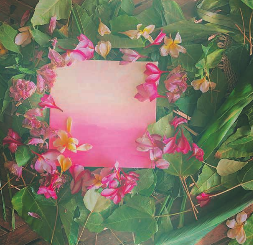 作品集「ゴールドはパープルを愛してる ‒ 千年後の未来の風景 ‒」山崎