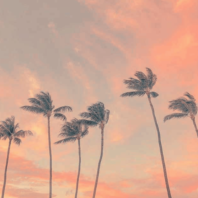 作品集「ゴールドはパープルを愛してる ‒ 千年後の未来の風景 ‒」山崎