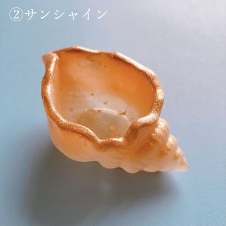 Conch bowl