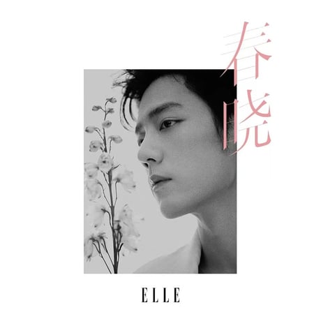 肖战・関連商品（ELLE） ★ 雑誌（2026年1月号・肖战表紙）《ELLE・雑誌（肖战・封面）》