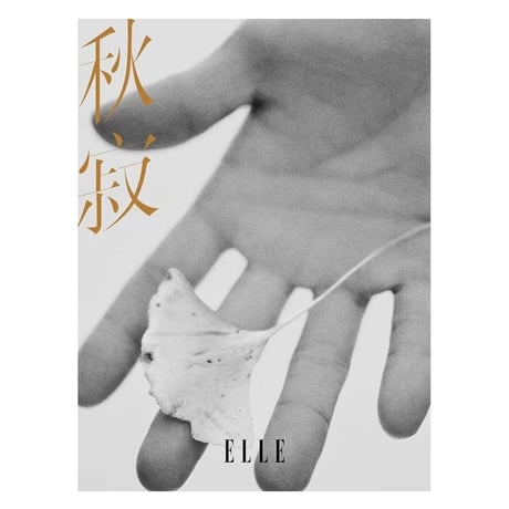 肖战・関連商品（ELLE） ★ 雑誌（2026年1月号・肖战表紙）《ELLE・雑誌（肖战・封面）》
