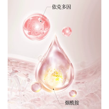 【 禾哲の商品以外との同梱発送不可 】禾哲 ★ 【 29 】トーンアップ 下地クリーム（50g）《Heezel・柔焦焕亮素颜霜（50g）》