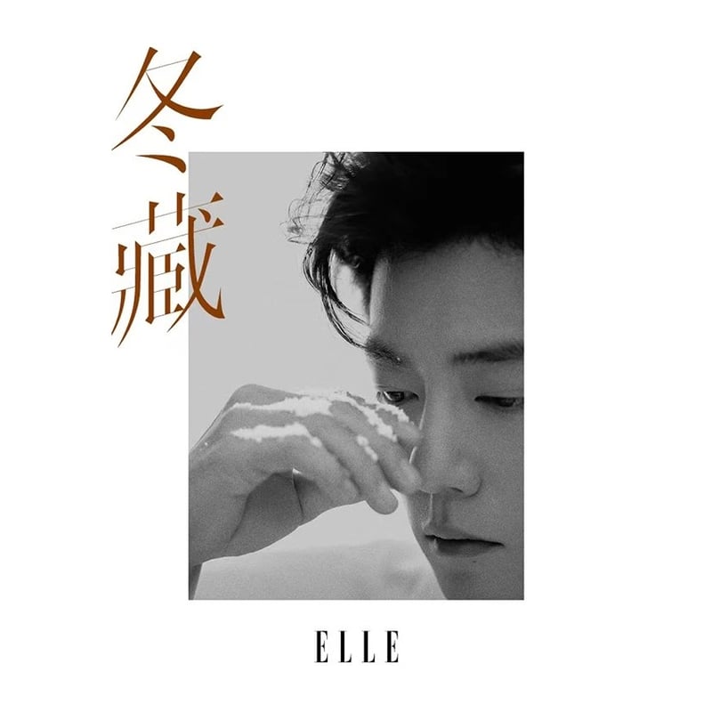 肖战・関連商品（ELLE） ☆ 雑誌（2026年1月号・肖战表紙）《ELLE