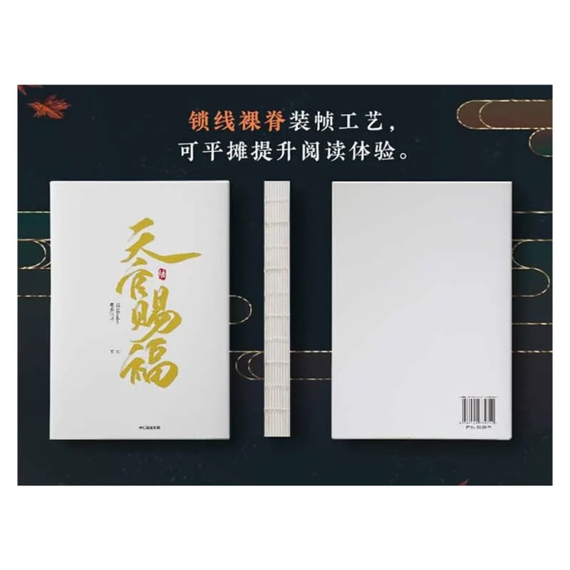 天官賜福 ☆ 単行本・第6巻（陆）① bilibili 商城版《①
