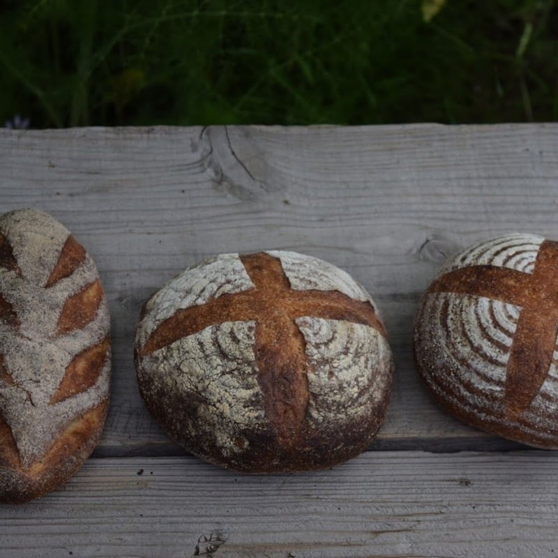 2026年1月発送】自家製酵母パンセット（常温便） | コウボパン小さじいち