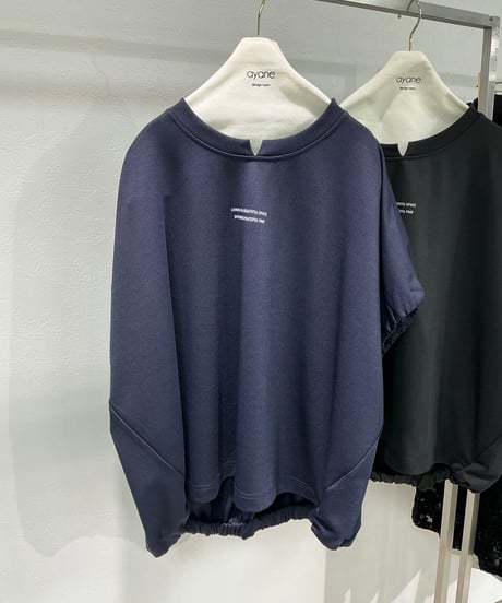【ayane 26AW】 856728 ポリエステルポンチプルオーバー