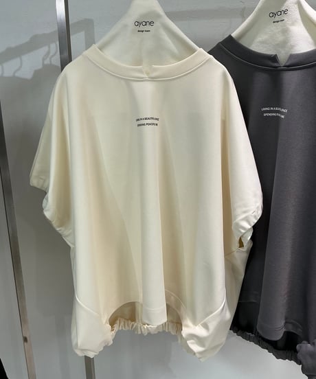 【ayane 26AW】 856728 ポリエステルポンチプルオーバー