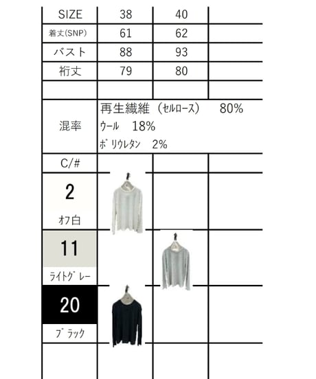 【ayane 26AW】 早期ご予約送料無料！856729 テンセルウールクルーネックロンT