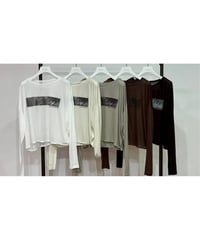 【PRIORITY 26AW】 P67051HW シアーフォトTシャツ