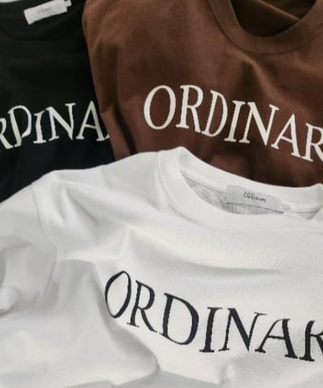 【 Ordinary】BO25-105T　Chiffon Connect T-Shirt Dress
