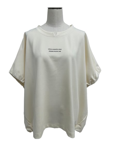【ayane 26AW】 856728 ポリエステルポンチプルオーバー