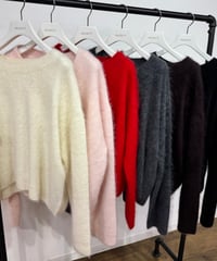 ご予約購入ポイント２倍【PRIORITY 26AW】 P67005KR シャギーウールニット PO