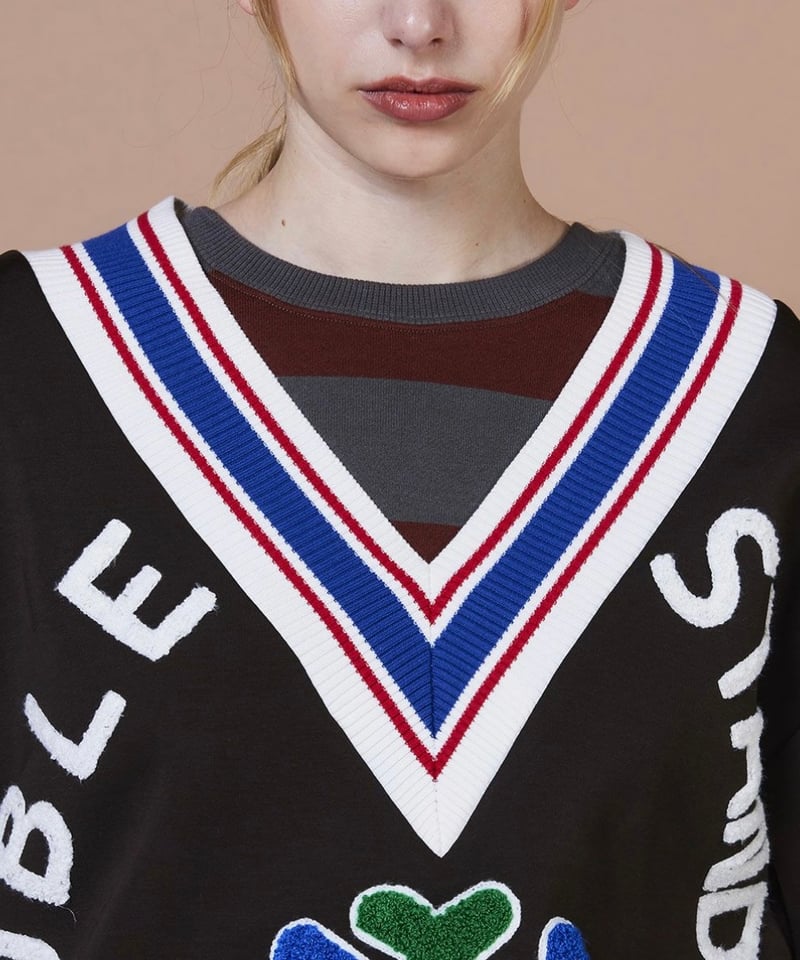 DOUBLE STANDARD CLOTHING】0208-510-253 ダンボールVネッ