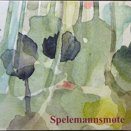 V.A. Spelemannsmote (ノルウェイ)