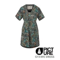 PICTURE GYAWE DRESS