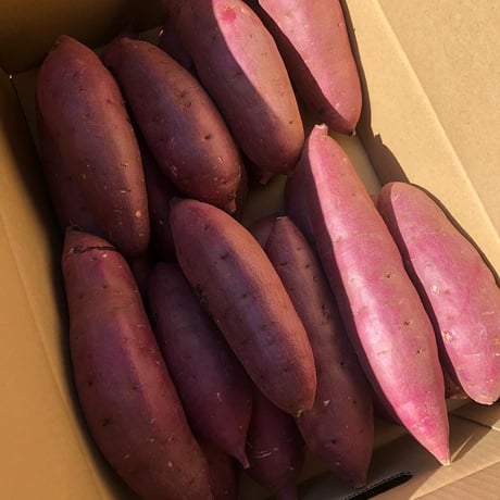 仁連宿さつまいも紅はるかMサイズ10㎏¥5000+送料