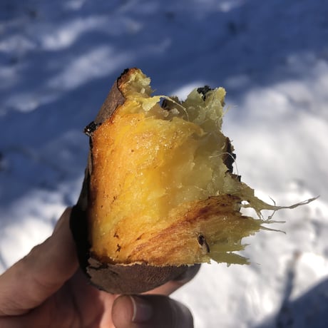仁連宿さつまいも紅はるかMサイズ10㎏¥5000+送料