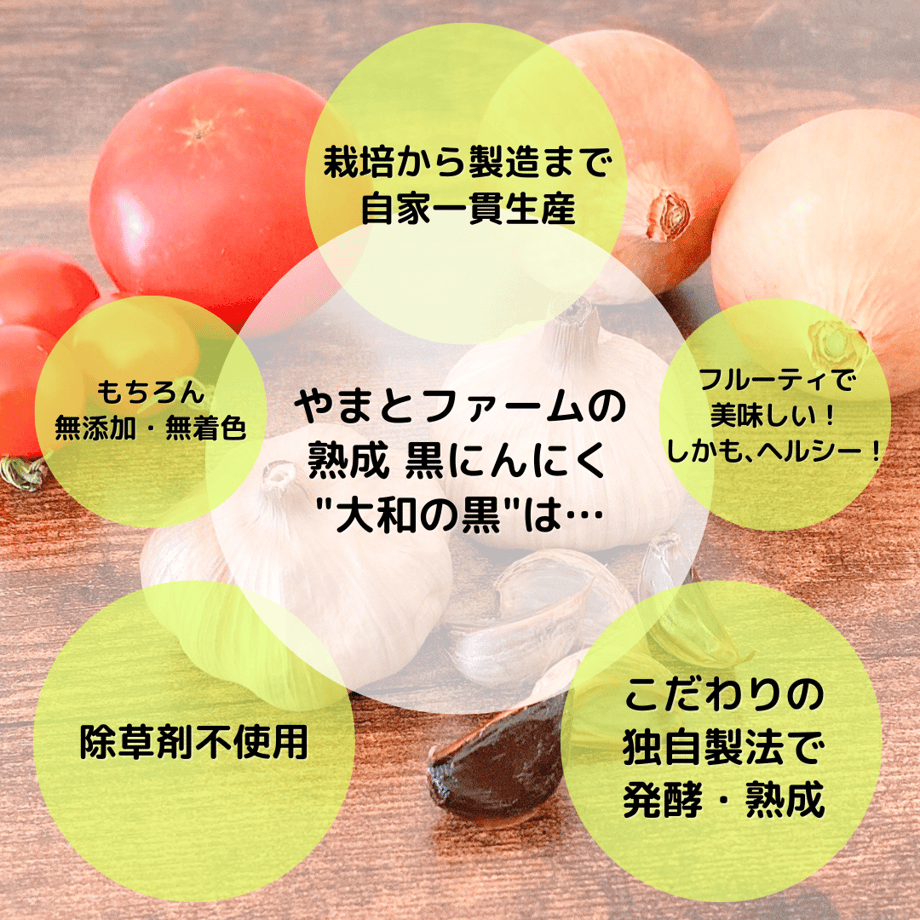 62bb261fb1f11060c56a3c47