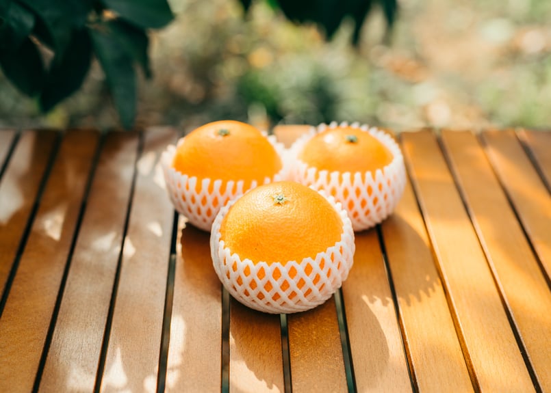 ニノミヤファーム