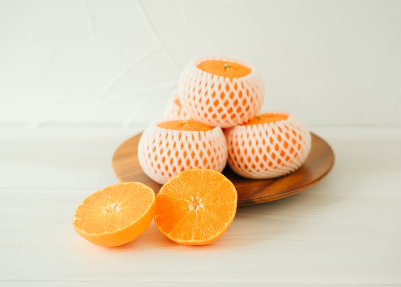 専用 KUMA Kids 橙 norapon blanc 2024 2本セット 7/6鹿児島戦】グッズ