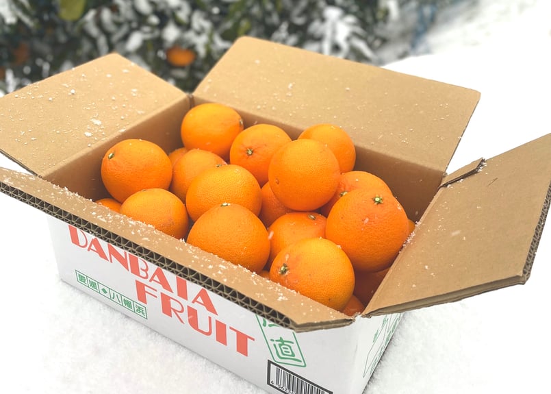 2月下旬【新品種】段畑プリンセス「甘平」×「まどんな」ご家庭用