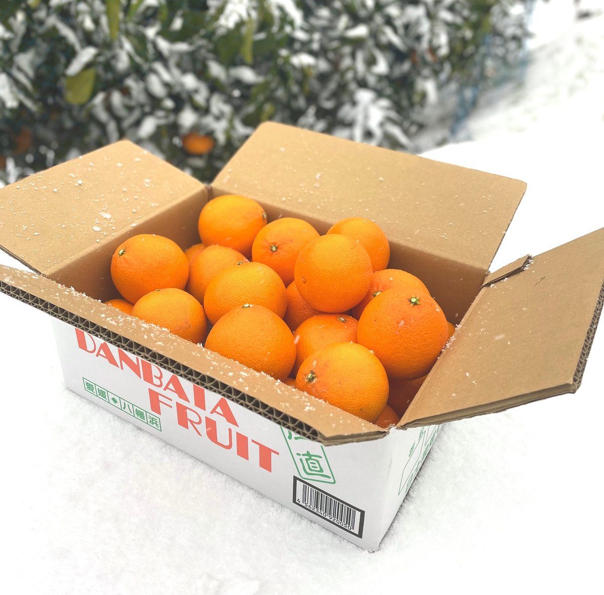 2月下旬【新品種】段畑プリンセス「甘平」×「まどんな」ご家庭用