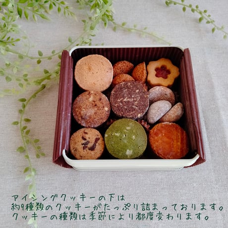 おいわいクッキー缶について(オリジナルオーダー)