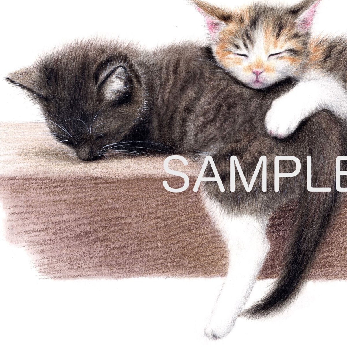 仔猫【色見本】水彩色鉛筆画 | 絵のデータ販売 @水彩色鉛筆チャンネル