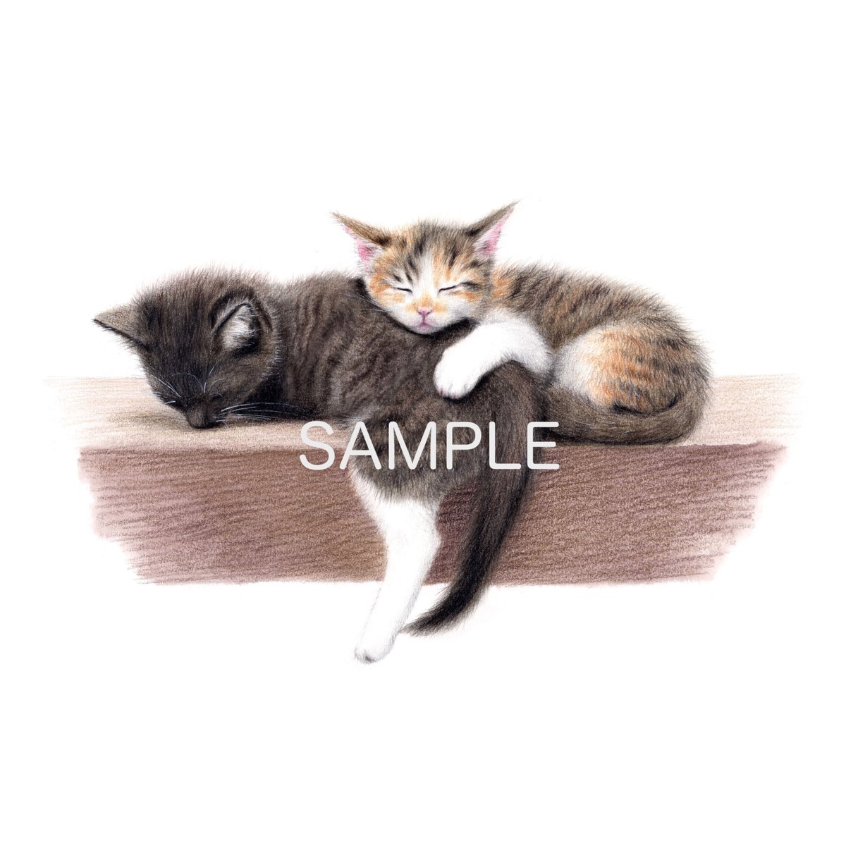 仔猫【色見本】水彩色鉛筆画 | 絵のデータ販売 @水彩色鉛筆