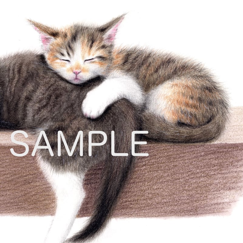 仔猫【色見本】水彩色鉛筆画 | 絵のデータ販売 @水彩色鉛筆チャンネル