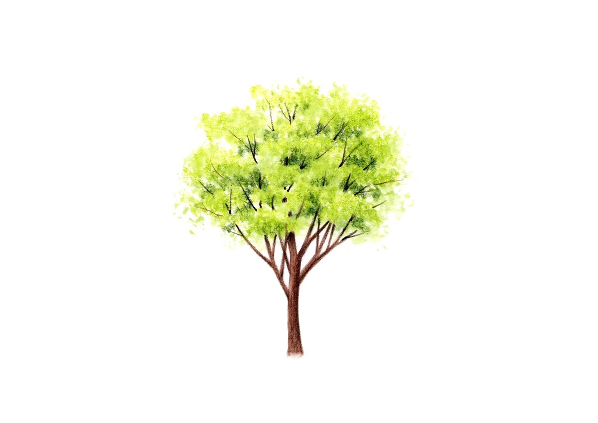 木の実が色付く時　水彩画 sddefault.jpg